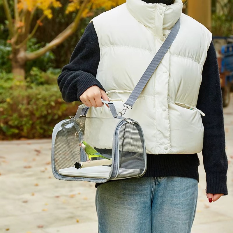 Foldable Portable Small Bird B - Foldable Backpack Small review and price