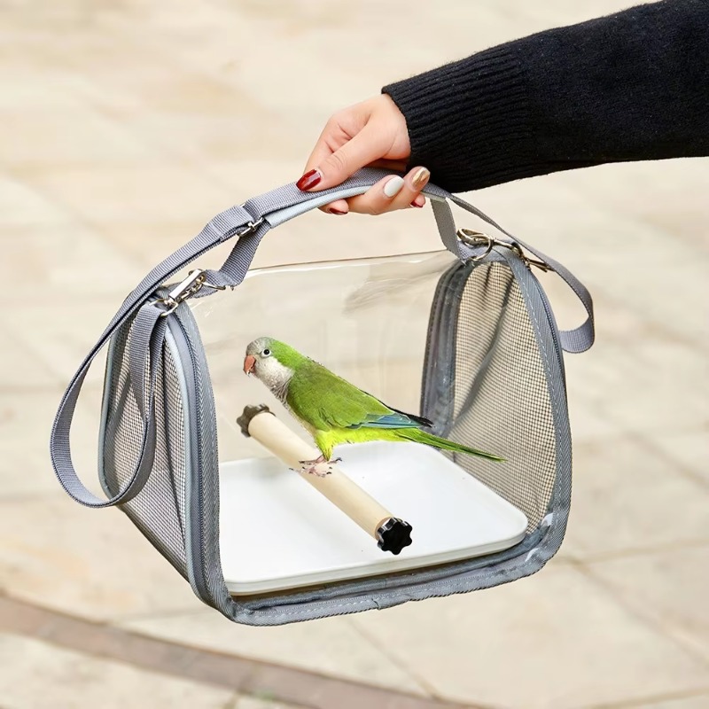 Foldable Portable Small Bird B - Foldable Backpack Small review and price
